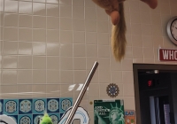 broom