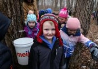 MAD-Sap-Syrup-Collecting-02.18.20-113